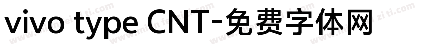 vivo type CNT字体转换